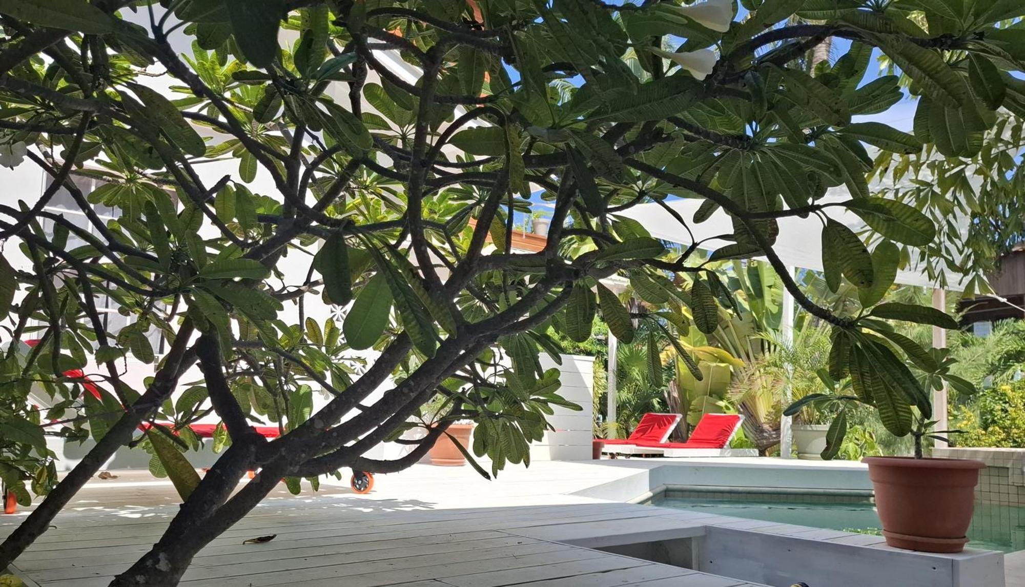 Amanda'S Place Casa Amancer - Sea View, Pool And Tropical Garden Кей-Колкер Экстерьер фото