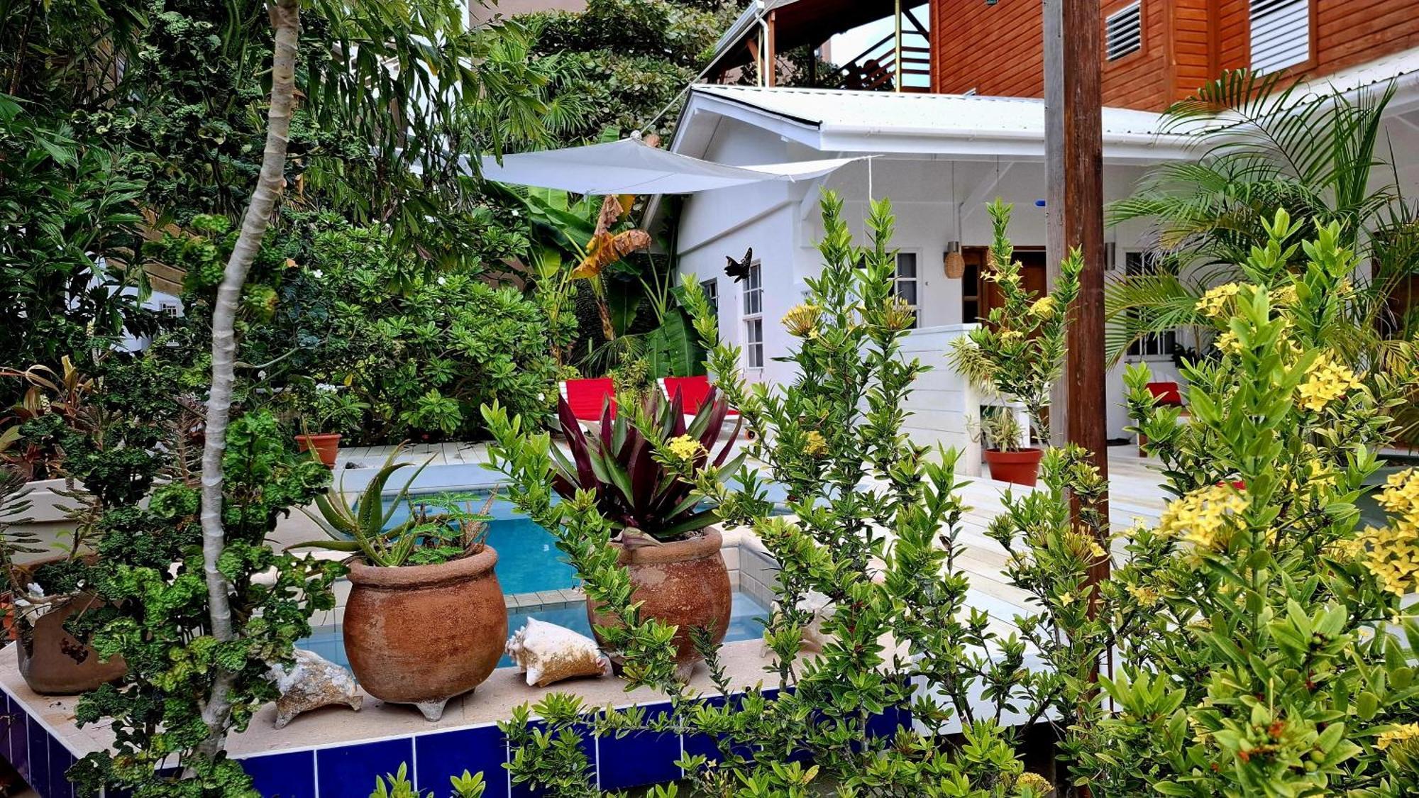 Amanda'S Place Casa Amancer - Sea View, Pool And Tropical Garden Кей-Колкер Экстерьер фото